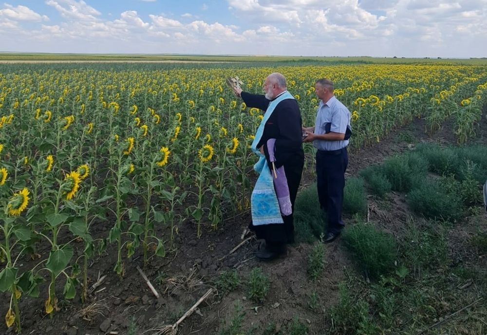 Preotul din Cudalbi chemat de primar să aducă ploaia