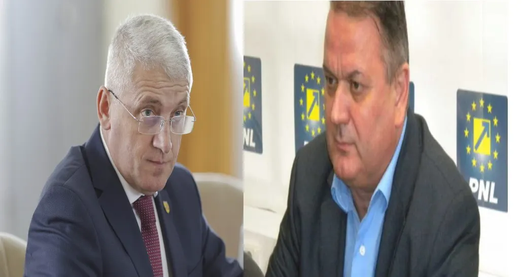articol pro romania pnl alianta