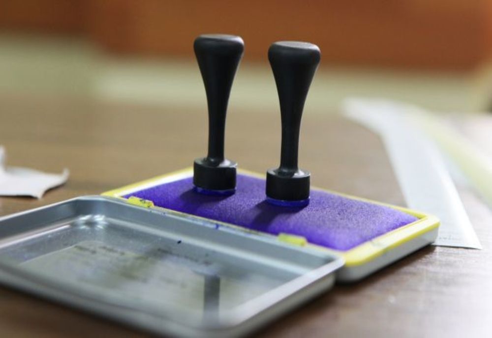 Pro România Iași cere amânarea alegerilor: Țara arde, baba se piaptănă