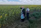 Preotul din Cudalbi chemat de primar să aducă ploaia